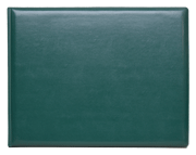 Green vinyl leather diploma cover